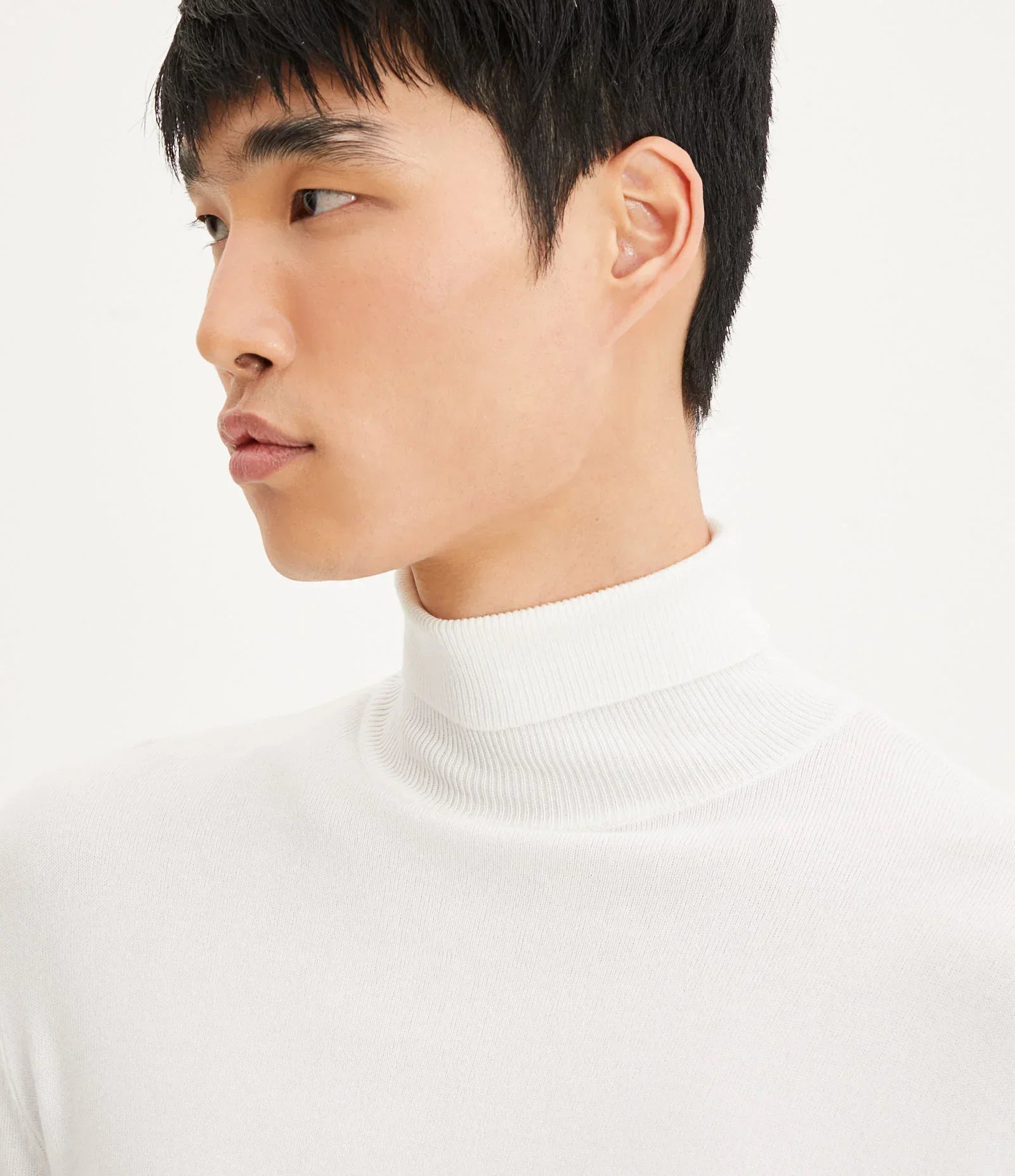 Wool Turtleneck